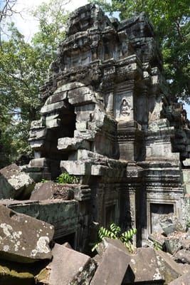 DSC_9534.JPG