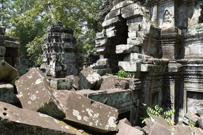 DSC_9535.JPG