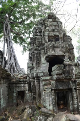 DSC_9537.JPG