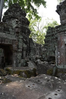 DSC_9545.JPG