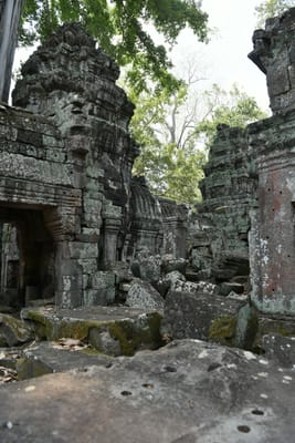 DSC_9546.JPG