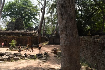DSC_9552.JPG