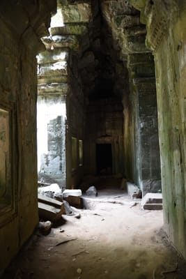 DSC_9560.JPG