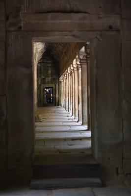 DSC_9563.JPG