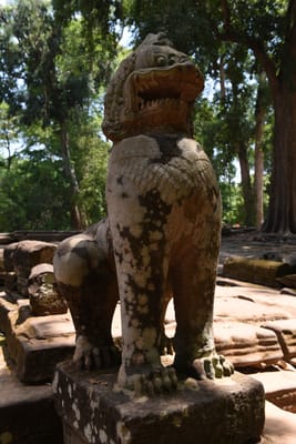 DSC_9568.JPG