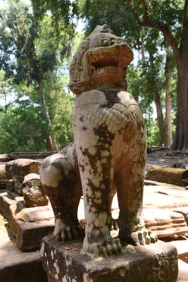 DSC_9569.JPG