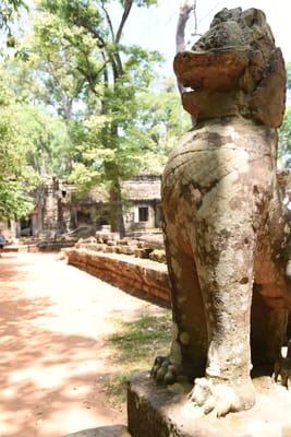 DSC_9570.JPG