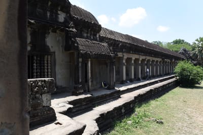 DSC_9584.JPG