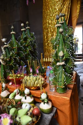 DSC_9586.JPG