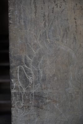 DSC_9631.JPG