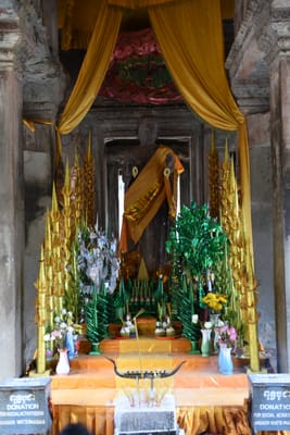 DSC_9637.JPG