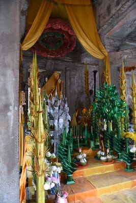 DSC_9641.JPG