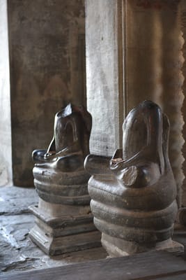 DSC_9714.JPG