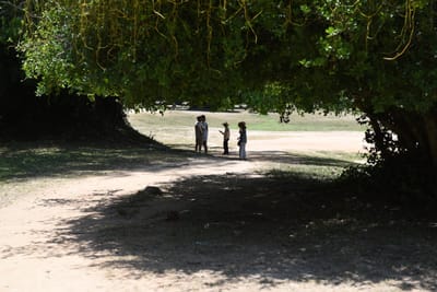 DSC_9752.JPG