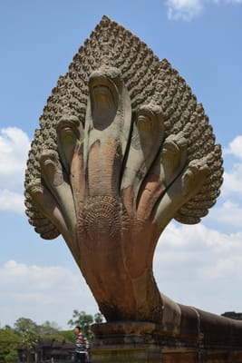 DSC_9762.JPG