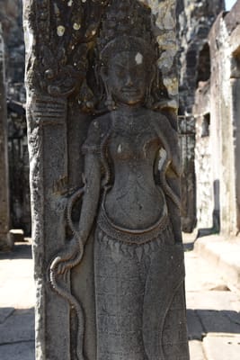 DSC_9779.JPG