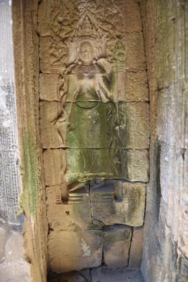 DSC_9801.JPG