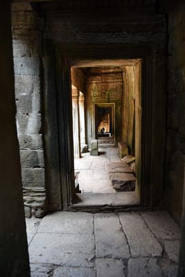 DSC_9823.JPG