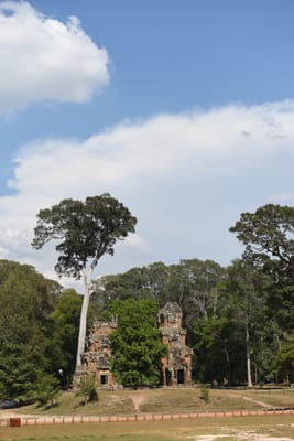 DSC_9845.JPG