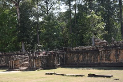 DSC_9846.JPG