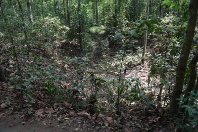 DSC_0005.JPG