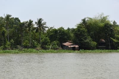 DSC_0033.JPG