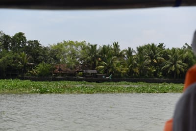 DSC_0034.JPG