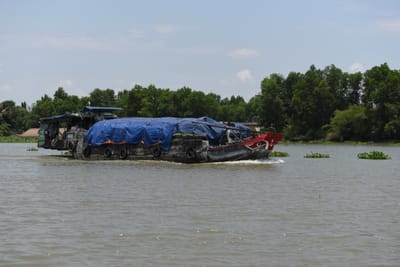 DSC_0041.JPG