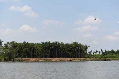 DSC_0048.JPG