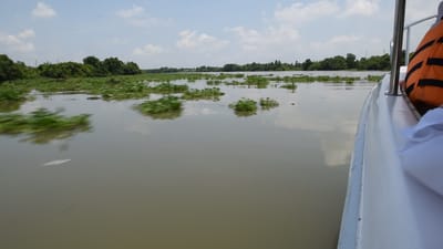 DSC_0052.MOV