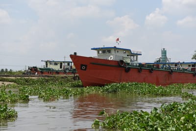 DSC_0058.JPG