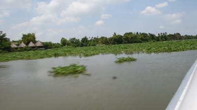 DSC_0072.MOV