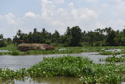 DSC_0073.JPG