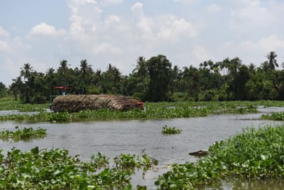 DSC_0074.JPG