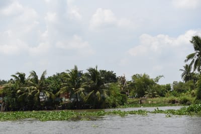 DSC_0085.JPG