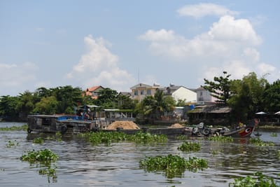DSC_0091.JPG