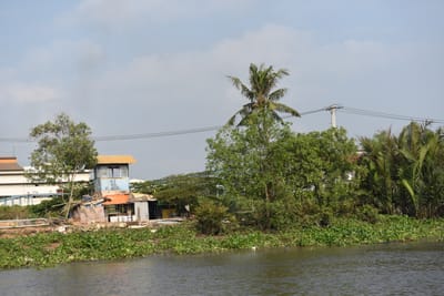 DSC_9860.JPG