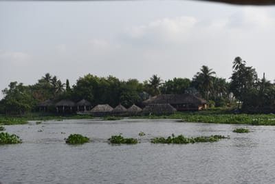 DSC_9863.JPG