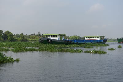 DSC_9865.JPG