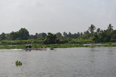 DSC_9868.JPG