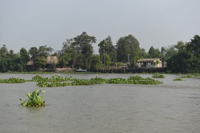 DSC_9882.JPG