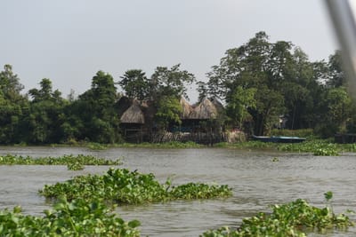 DSC_9883.JPG