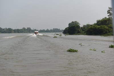 DSC_9887.JPG