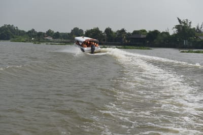DSC_9890.JPG