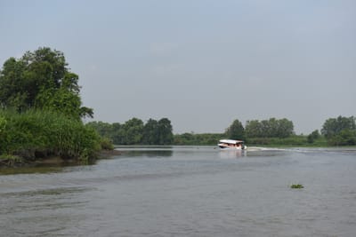 DSC_9892.JPG