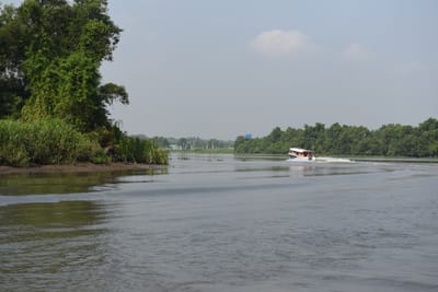 DSC_9893.JPG