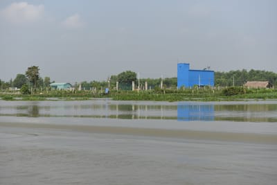 DSC_9894.JPG