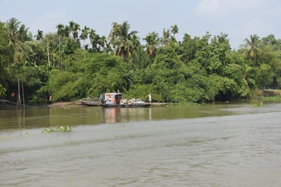 DSC_9895.JPG