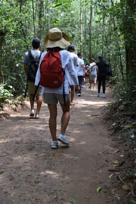 DSC_9995.JPG