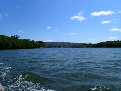 P9232546.JPG